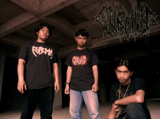 Simple way in sheer of brutality !! | Contact person : 08567645336 (adi)