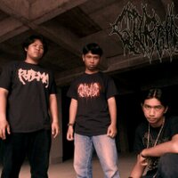 GORGING (@gorging_) 's Twitter Profile