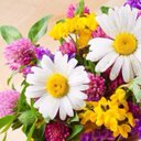 دانه (@590_590rr) Twitter