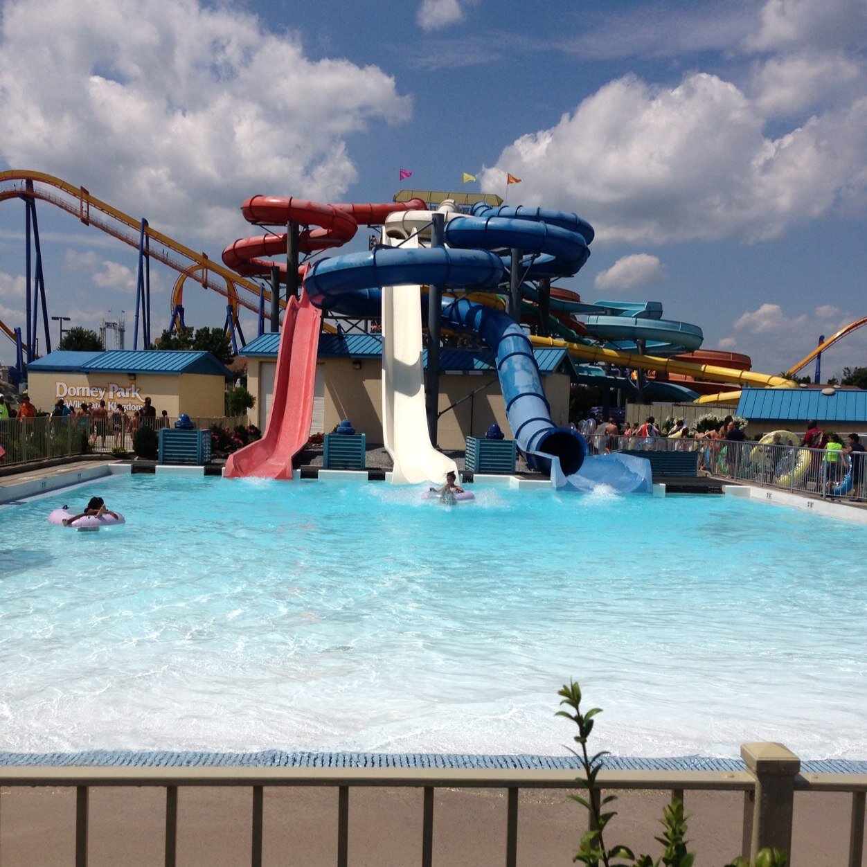 fidelisSemp's profile picture. 