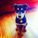 Joe Gratton - @joeyG2007 - Twitter