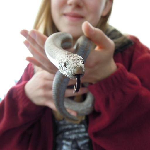 AudreyDeHaan1's profile picture. loves wildflowers, dragons, and happy endings.