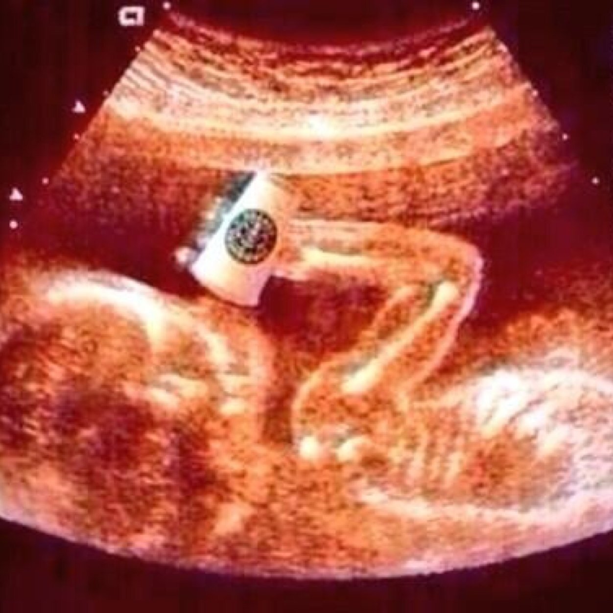 __funny_tweet__'s profile picture. Funny posts only