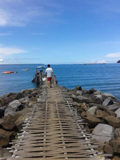 vinvincentius's profile picture. 