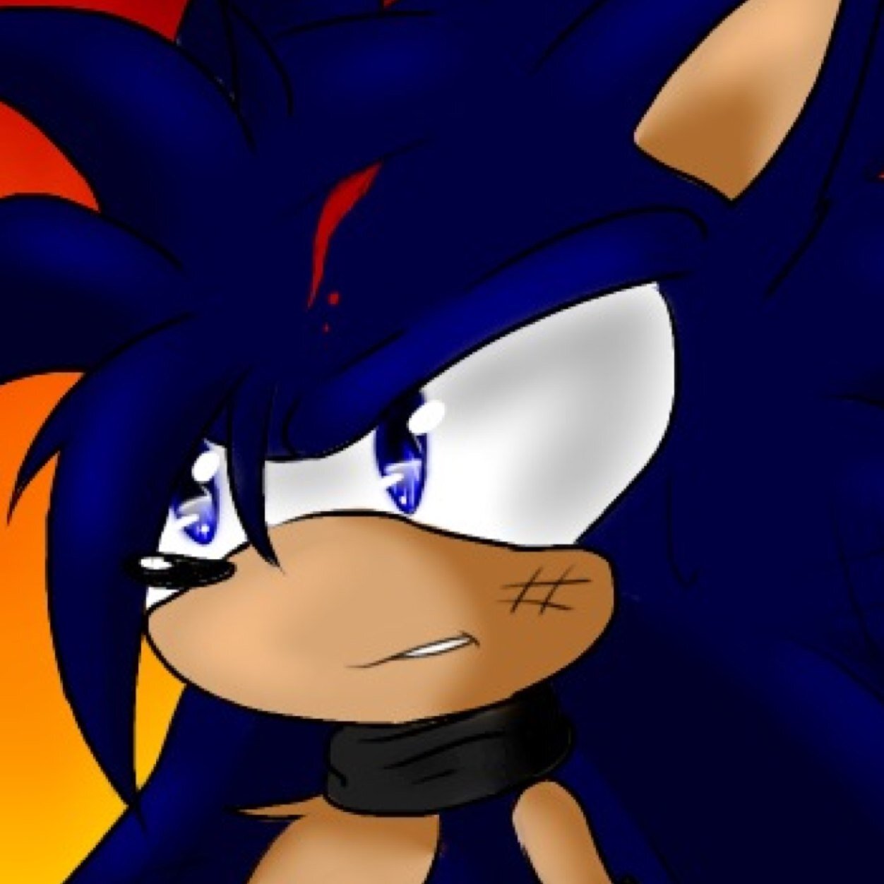 I'm Vayno The Hedgehog, I'm a highly trained ninja to stop evil in this messed up world. #Rp18+