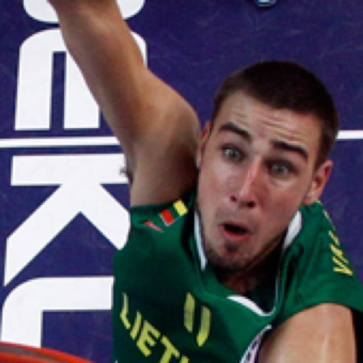 Valancinunas's profile picture. I dunks for the raptors , Got more D.U.I's then charlie sheen , Parody account