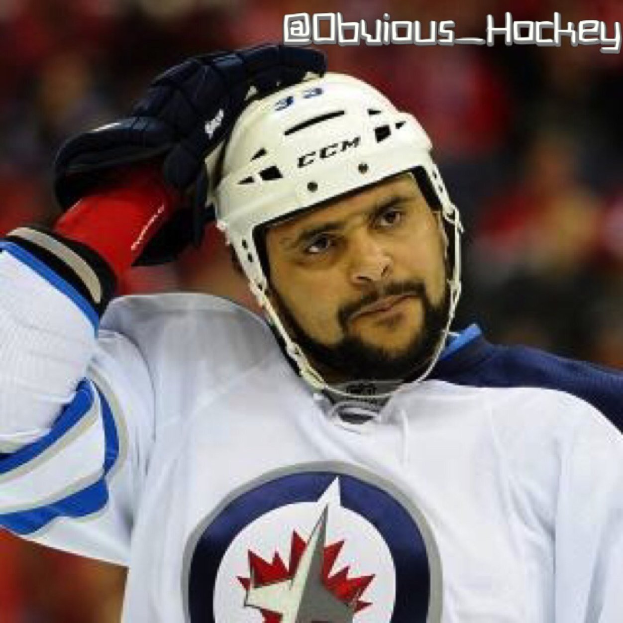 Obvious_Hockey Profile Picture