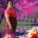 Francis Castro - @Francis62017087 - Twitter