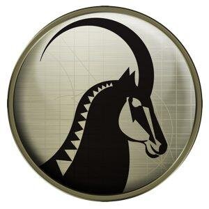 TaxidermistSA's profile picture. World class taxidermy on African Game since 1981. For the discerning trophy hunter.