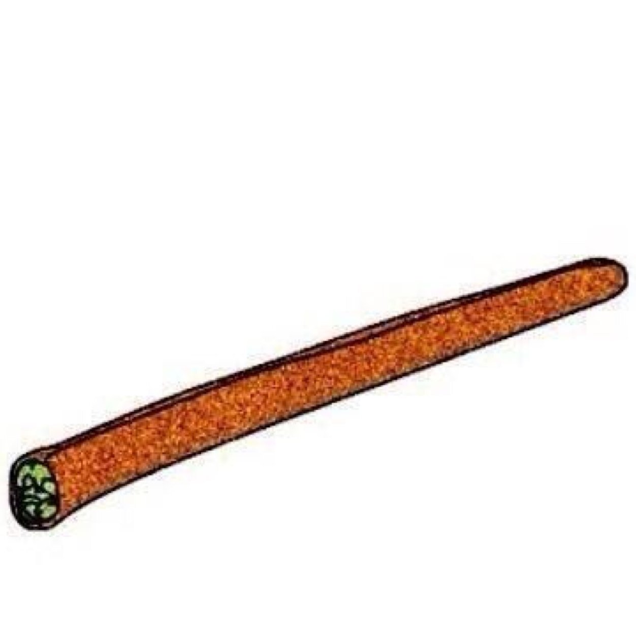 praise it and blaze it