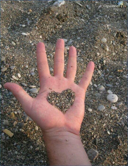 majalsp's profile picture. 