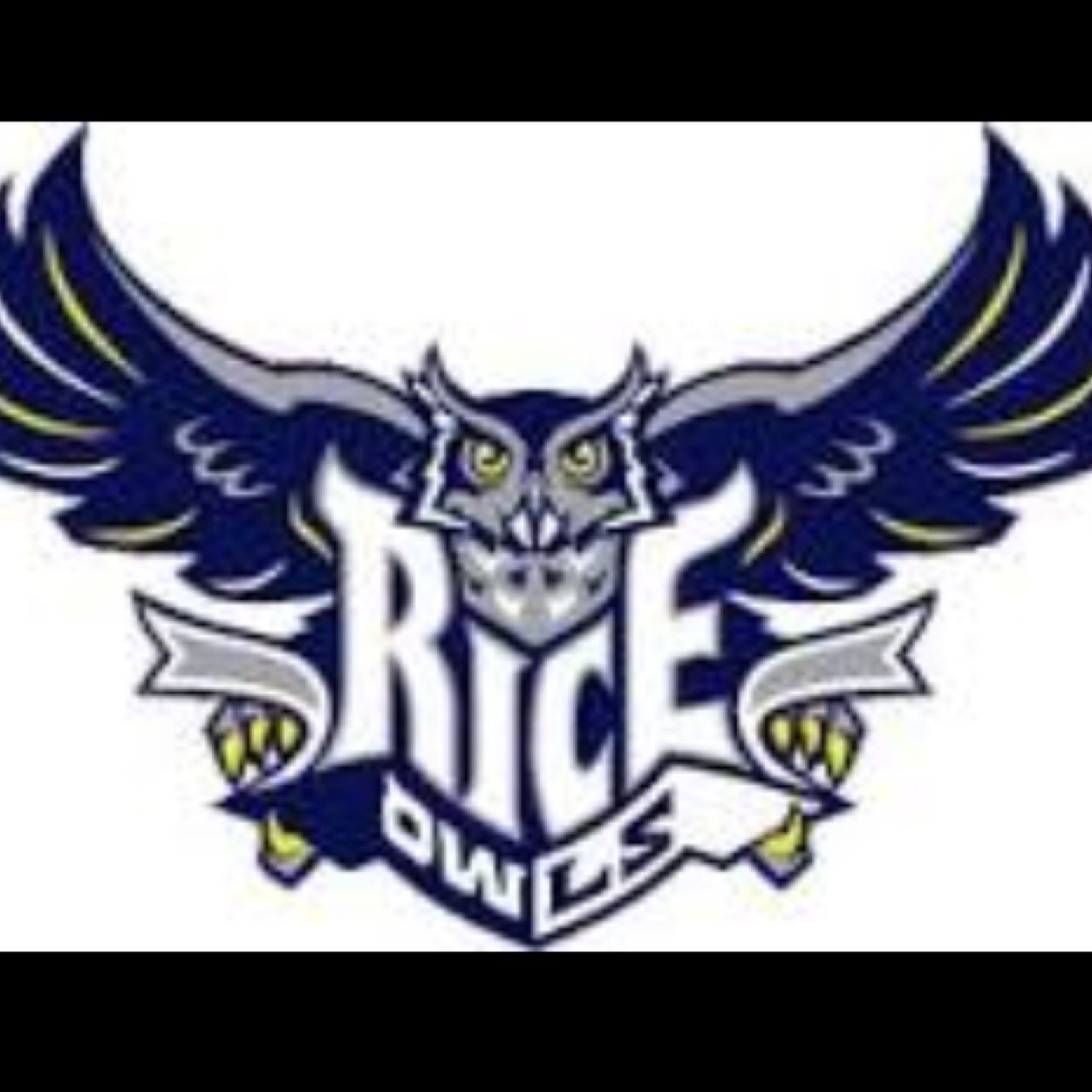 Future rice owl
