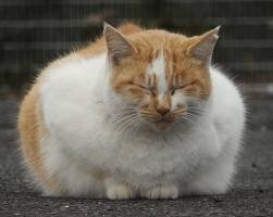 ういいい～