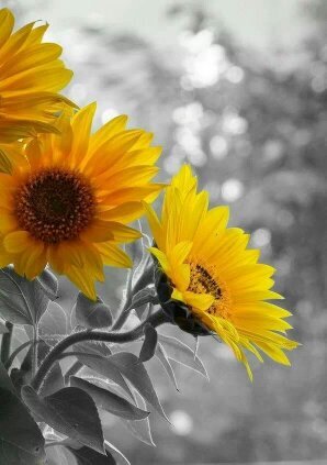 voglia di vivere :)