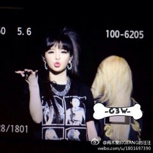 parody of 2NE1 park bom~ nyanrp