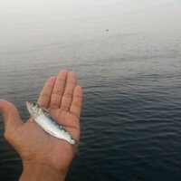 موجب حار عماني 26.. (@salamri567) Twitter profile photo