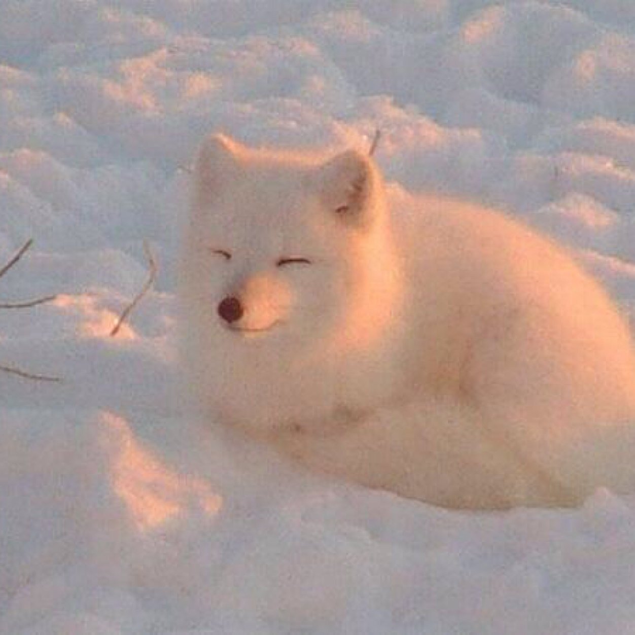 666God00's profile picture. 生まれてくるのが遅過ぎた龍 第三アカウント