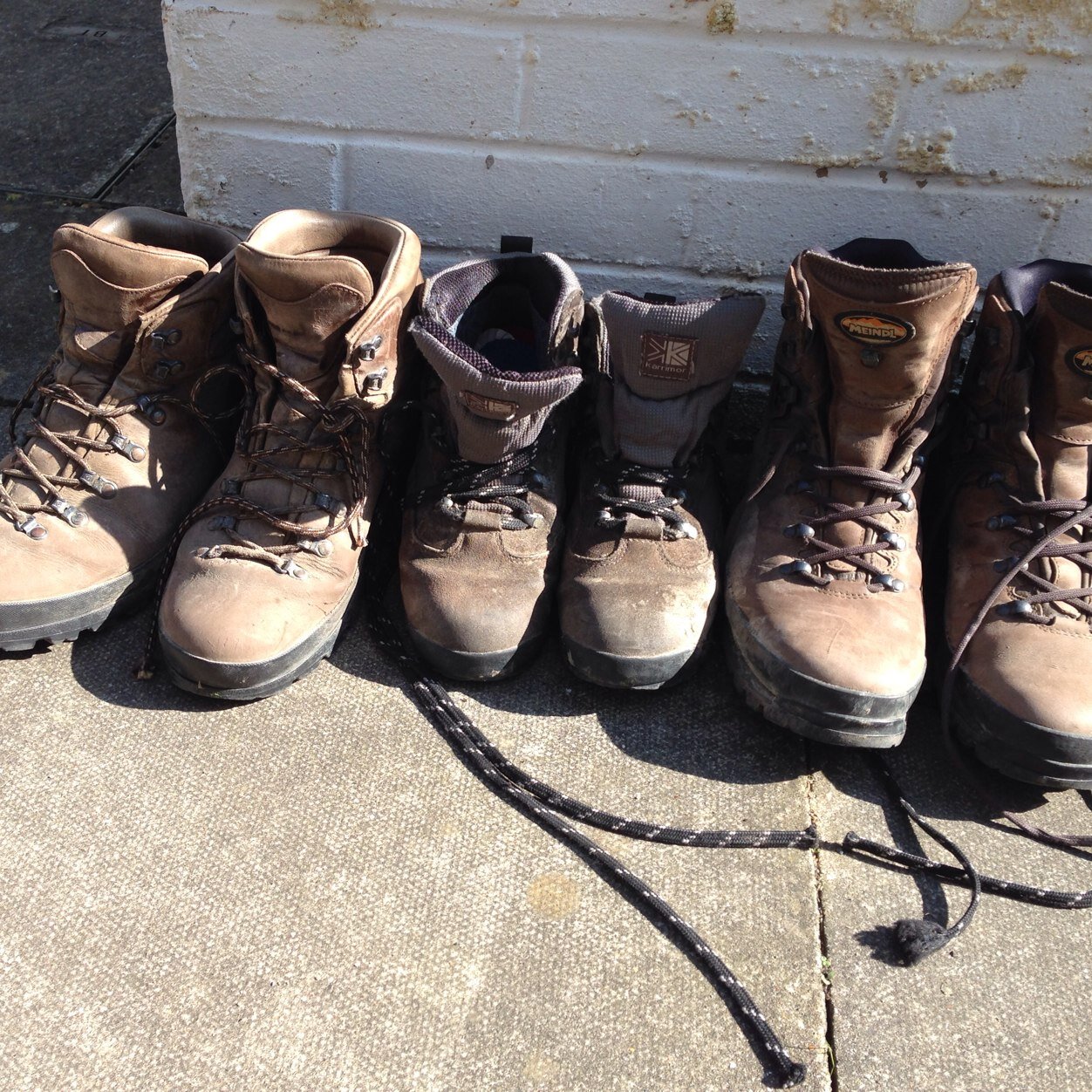 desdenharman's profile picture. 