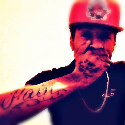 Musician/producer
#Teamfolllowback