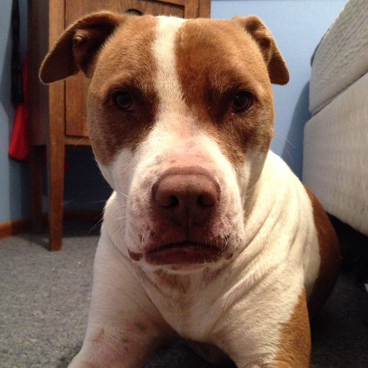 MA_TBT's profile picture. SACRIFICE DISCIPLINE HEART☝️❤️