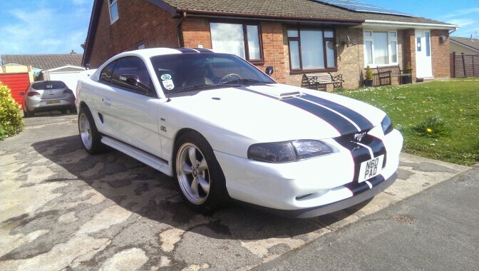 pad2407's profile picture. 