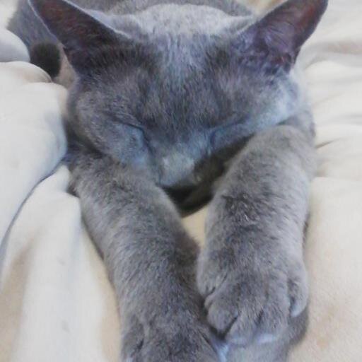 hokesII's profile picture. 最近は #原神 や #PSO2NGS 等のゲーム配信(hokesI) 、YouTubeチャンネル https://t.co/cgZRuzzGR9 もよろしく。第一級アマチュア無線技士(JQ3BOI)本職が #サイエンスソフト工学 ですので科学の話も投稿します。時々、気になる時事問題も。