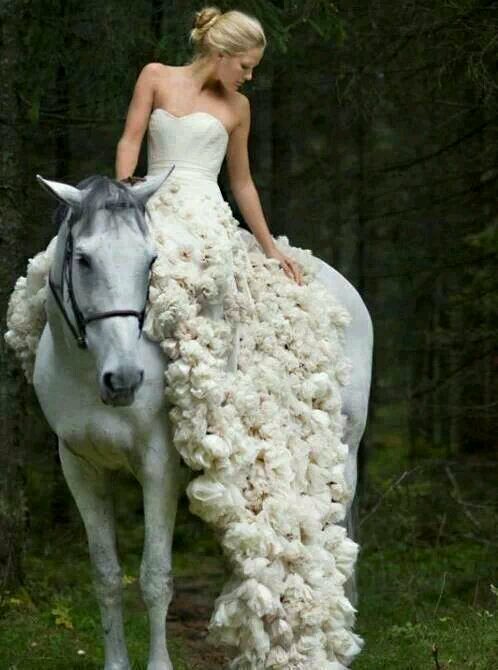 tararamram's profile picture. Believes in one God  *Allah*