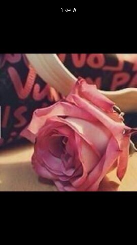 RoFat2010's profile picture. 