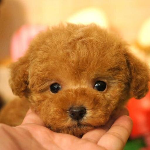 mamiko07891624's profile picture. 