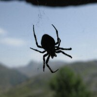 Lourdes Marzo (@lmarzoak) 's Twitter Profile Photo