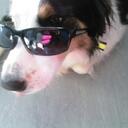 Jim Keith - @Nipper92 - Twitter