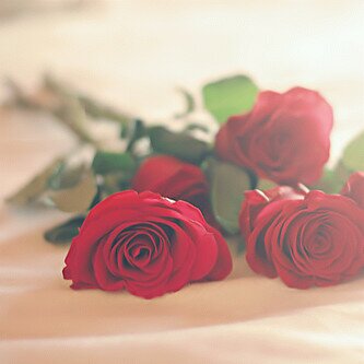 حساب متخصص في نشر الاعلانات التجاريه 'لتواصل PIN:2ADE7047