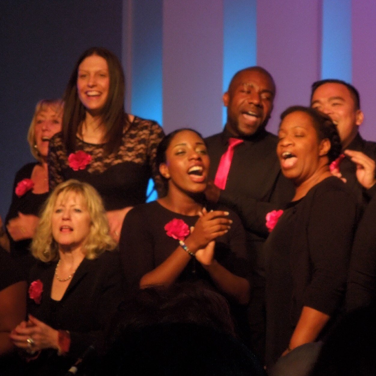 Bringing diverse audiences together through life affirming roots & gospel music