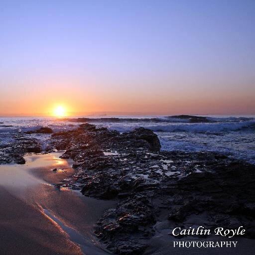 CaitlinRoyle's profile picture. https://t.co/C16w1XtMHd