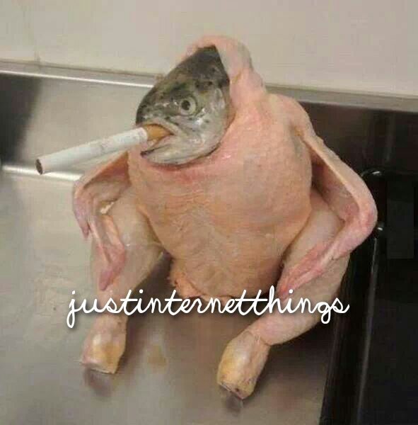 justwebthings's profile picture. 