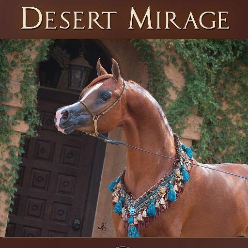 Owner/Publisher - Desert Mirage-Global print & digital Arabian horse lifestyle/luxury magazine dedicated to promoting the Arabian horse breed & its enthusiasts.