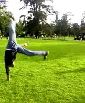 srikanthav's profile picture. Won't apologise for my puns