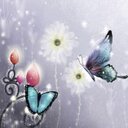 Ng Joyce - @Joyce1Ng - Twitter