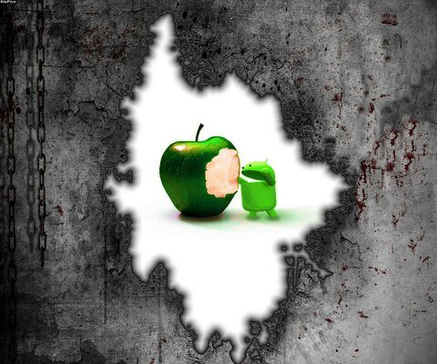 chard483's profile picture. 