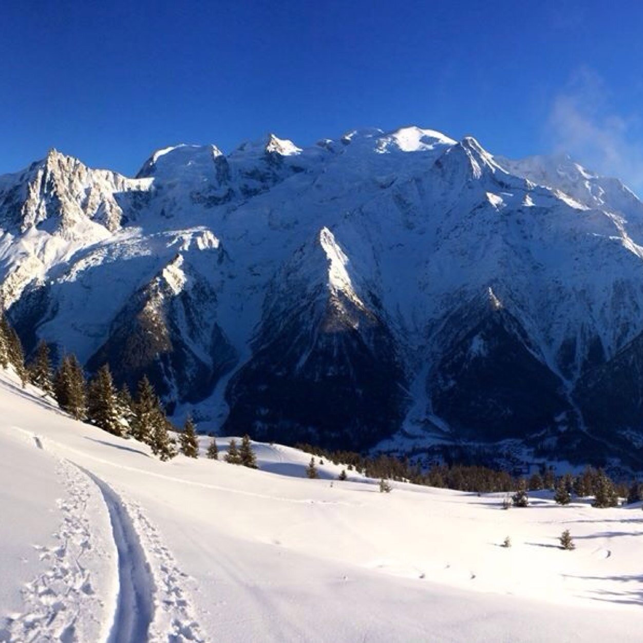 IainA86's profile picture. Cyclist. skier, grape drinker                                          Lost in a sea of thoughts. Work in HE. Classics grad. Will rarely tweet anything of value