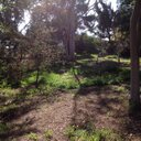 Jake Loyd - @LoydFulltimedad - Twitter