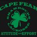 Cape Fear Shamrocks (@wilmingtonnclax) Twitter profile photo