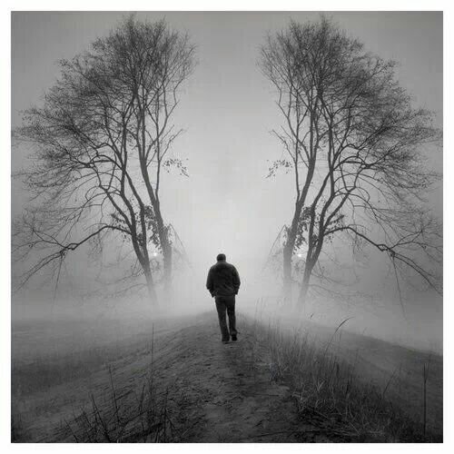 alialyasin911's profile picture. 