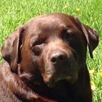 jonacris (@jonacris2) 's Twitter Profile