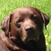 jonacris (@jonacris2) Twitter profile photo