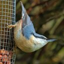 maureen jones - @MawsJ - Twitter