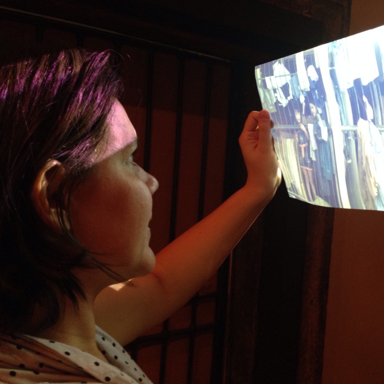 anaberaba's profile picture. na trilha