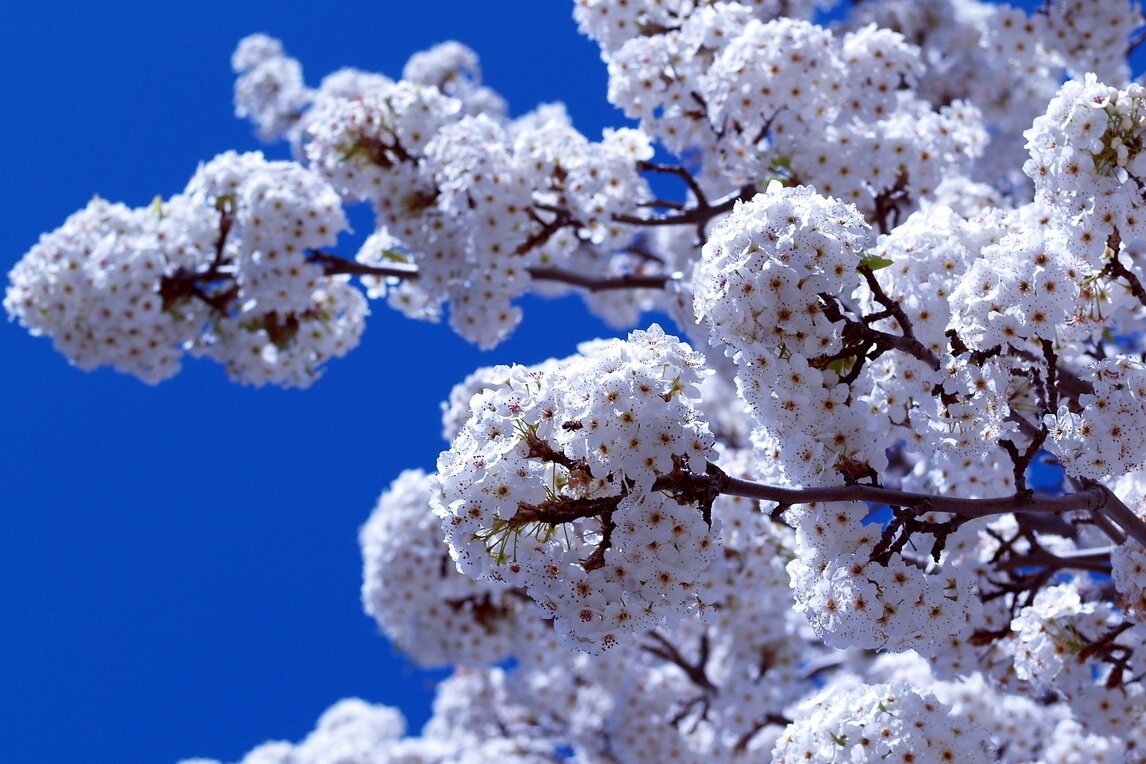 pass1488's profile picture. sdasdsad