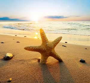 SeasideBeachy's profile picture. Online store featuring beach style home accents for your coastal cottage.