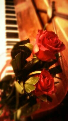 FansHarab's profile picture. ‏‏‏‏‏لبنانية_مهتمة بمجال الإعلام_الإعلام أهم شيء بحياتي_ الحب جزء مني_من أم أوربية وأب عربي_حسابي الوحيد بالتويتر(أحبكم).